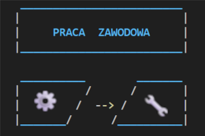 Praca zawodowa